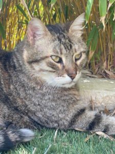 accueil-cremacat-vue-exterieure