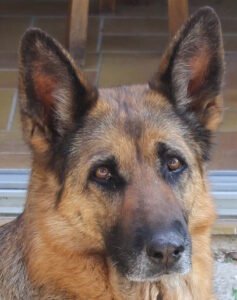 salle-recueillement-cremacat